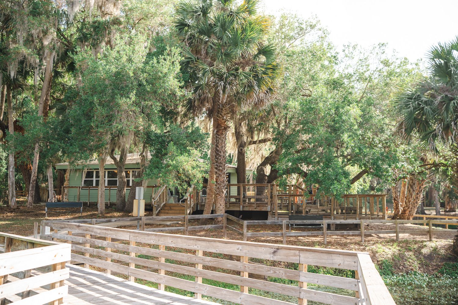 Rustic wooden boardwalk leading to a charming cabin nestled among tall palm trees in a shaded forest.