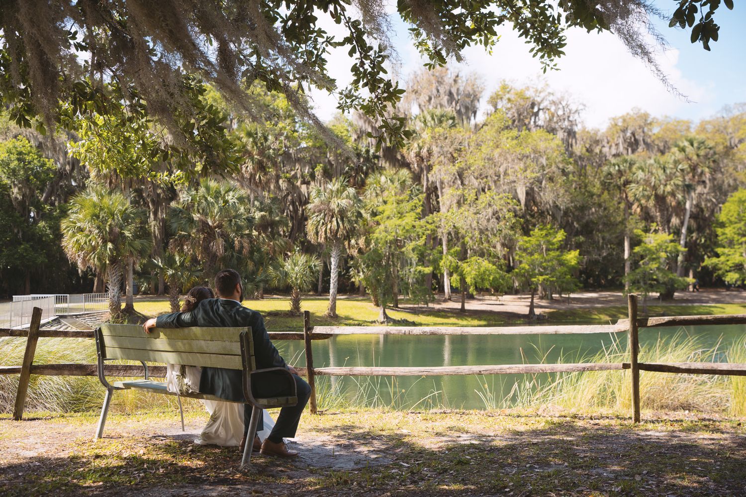 Person sitting alone on a bench overlooking a serene pond surrounded by moss-draped trees in a lush park.