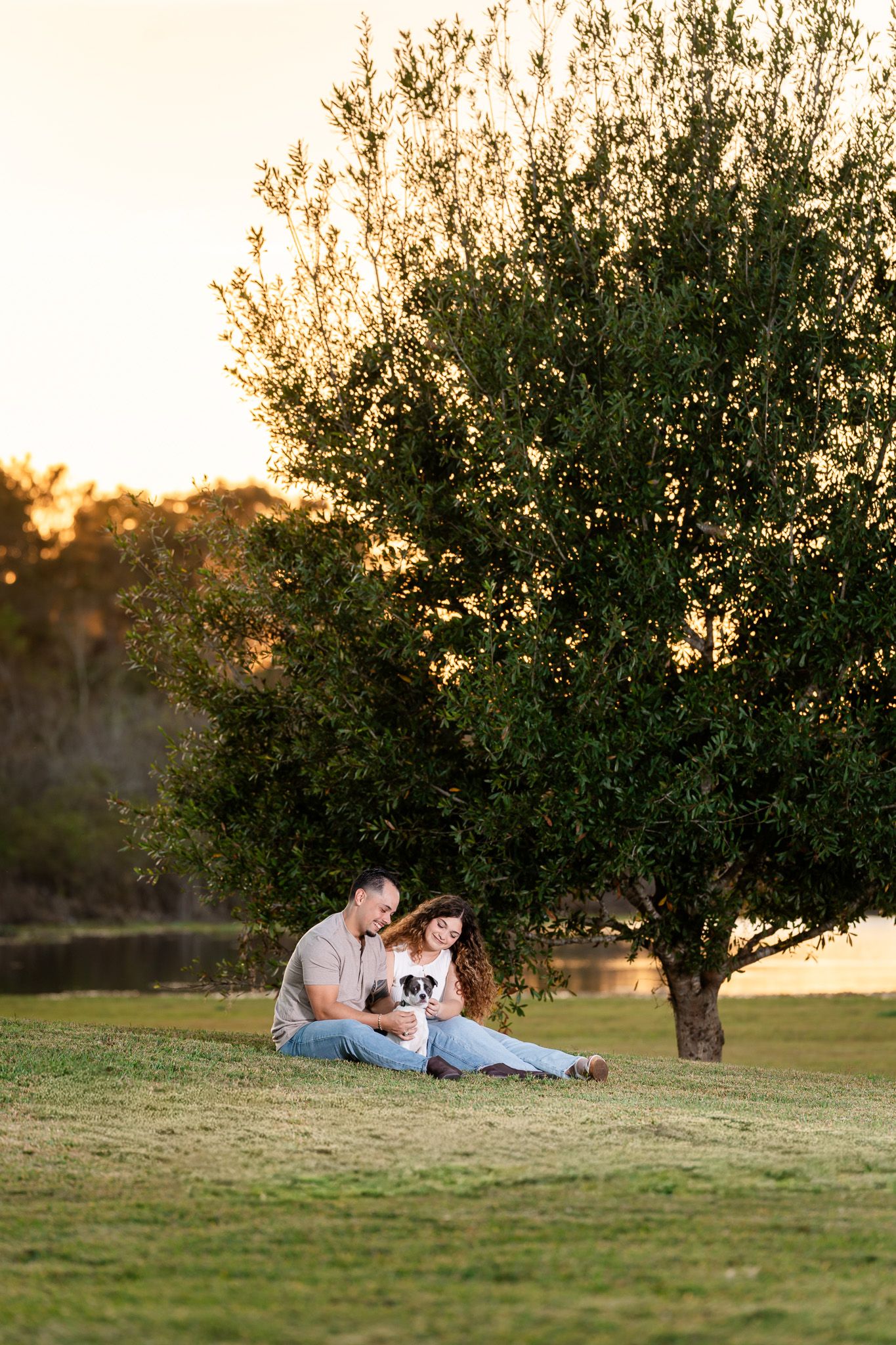 Couple sits under tree at sunset with small dog in their laps.
