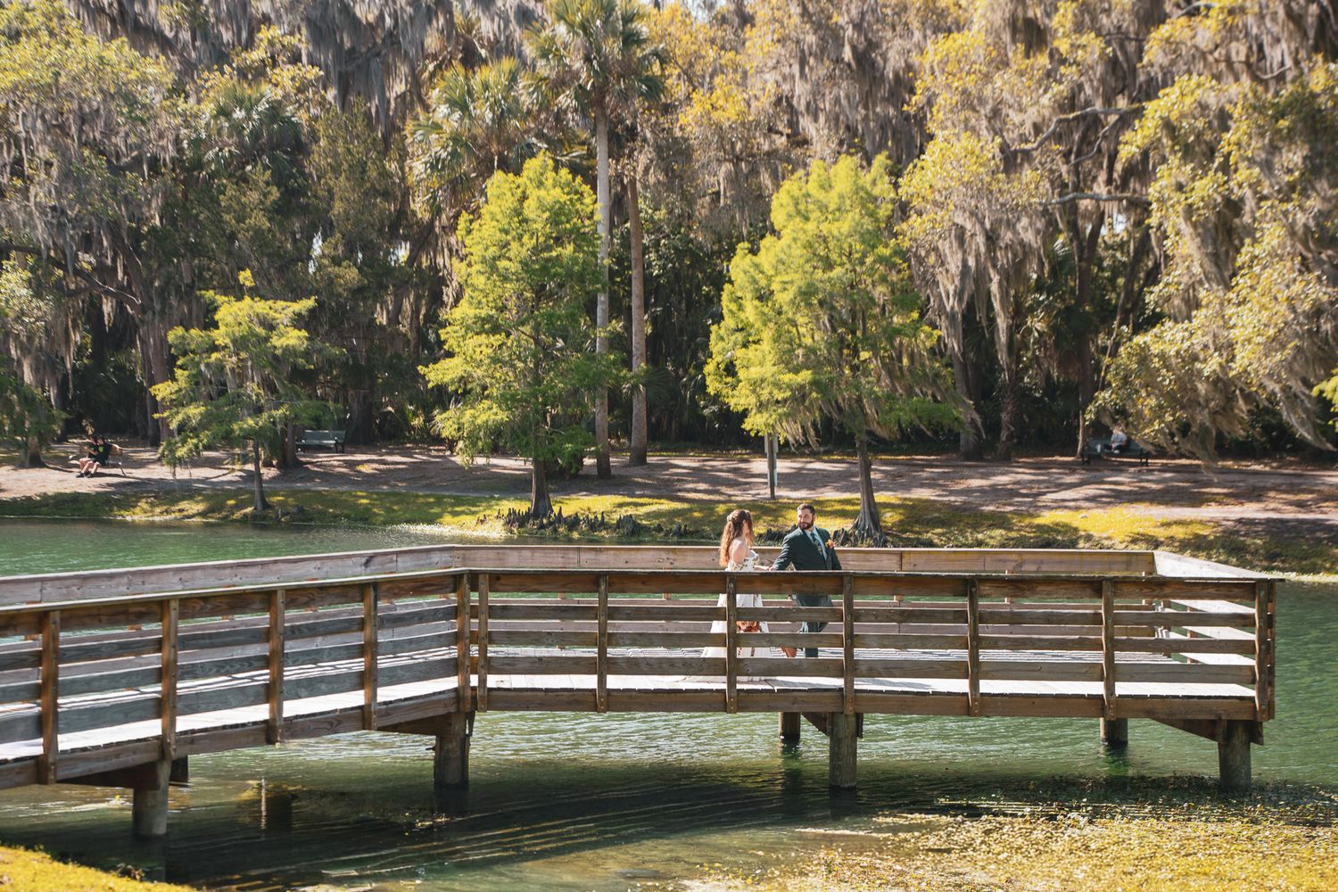 People enjoying a scenic wooden boardwalk over calm green waters surrounded by moss-draped trees in a Florida park.