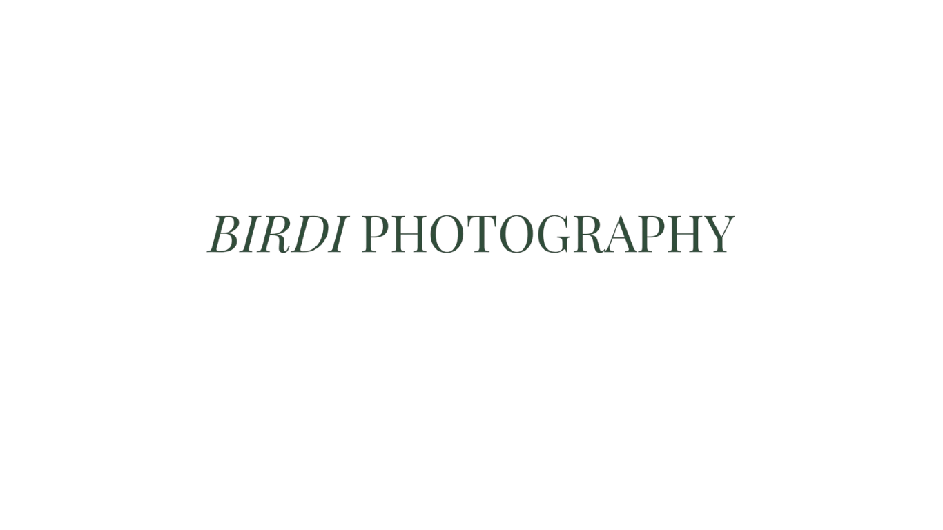 Birdi Photography logo in elegant serif font on white background.