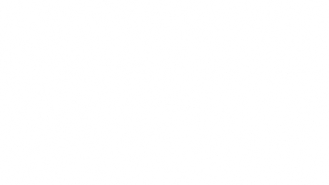 Blank white image with no visible content.