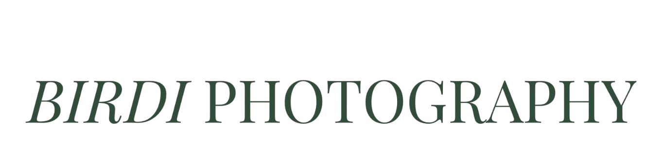 Birdi Photography brand logo displayed in dark green italic and regular font styling.