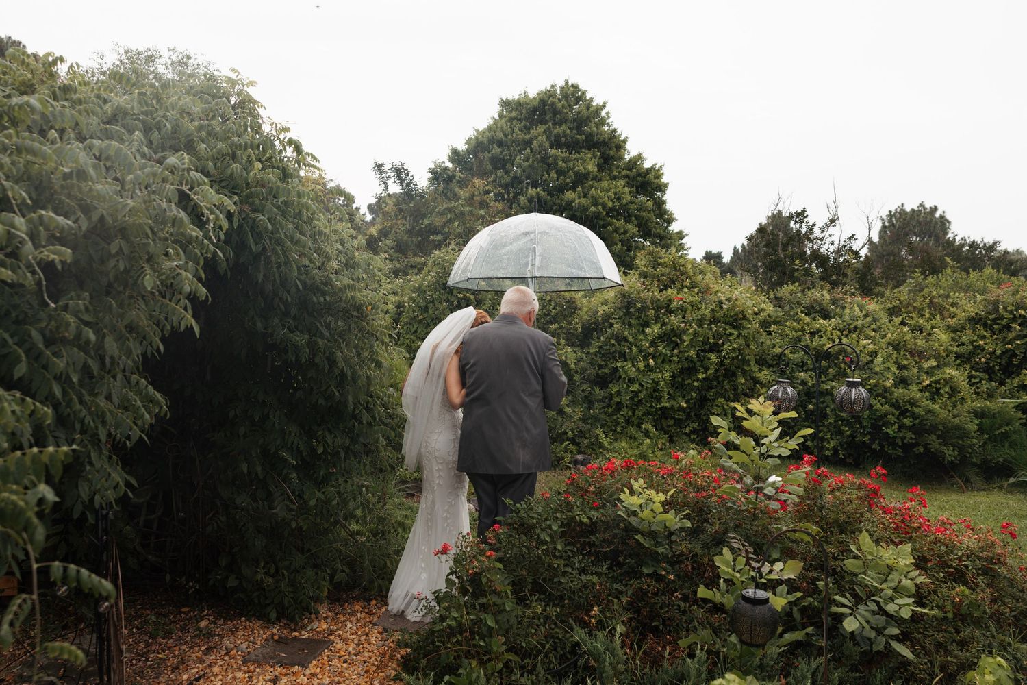 Bride and father walking through lush garden path sharing a clear umbrella on a rainy day.