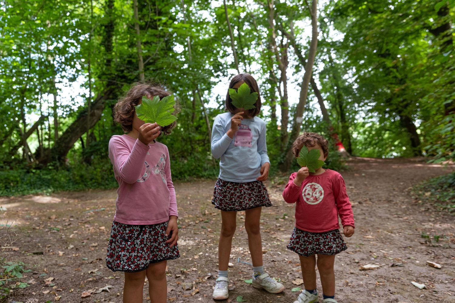Trois jeunes filles se cachent le visage derrière de grandes feuilles vertes sur un sentier forestier.