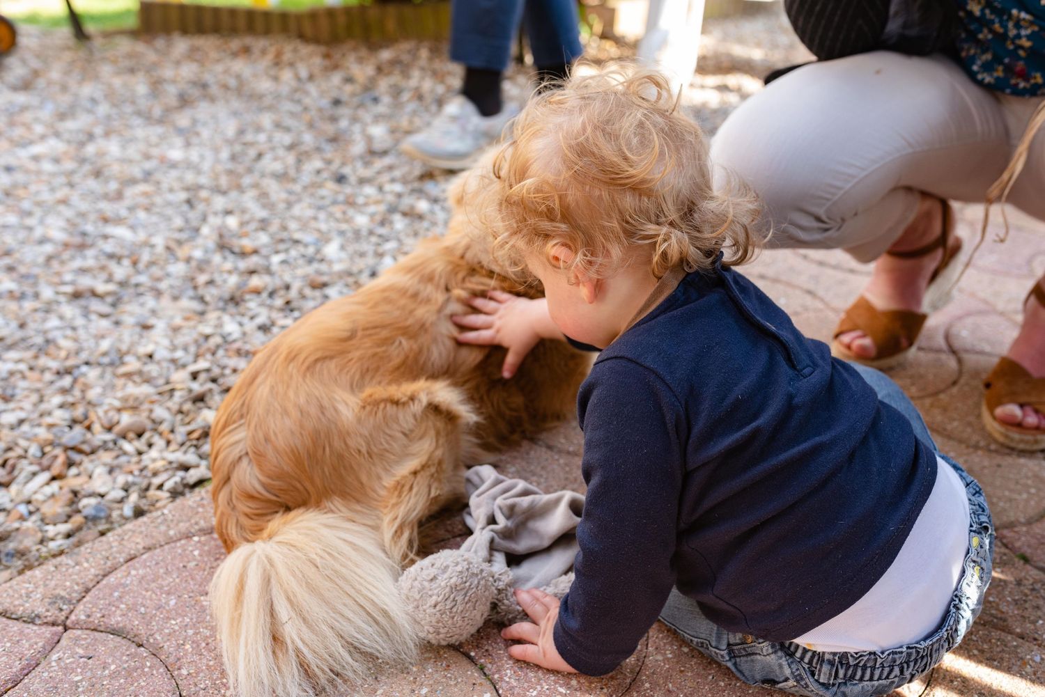 Un enfant en bas âge, vêtu d'une veste bleu marine, câline affectueusement un golden retriever sur une terrasse en gravier.