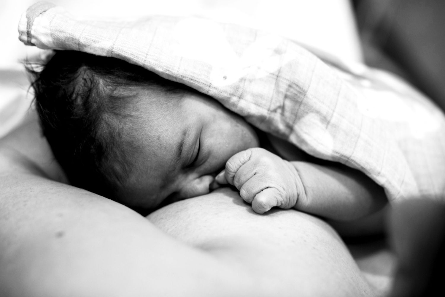 A newborn seconds after birth breastfeeding. Candid documentary-style 