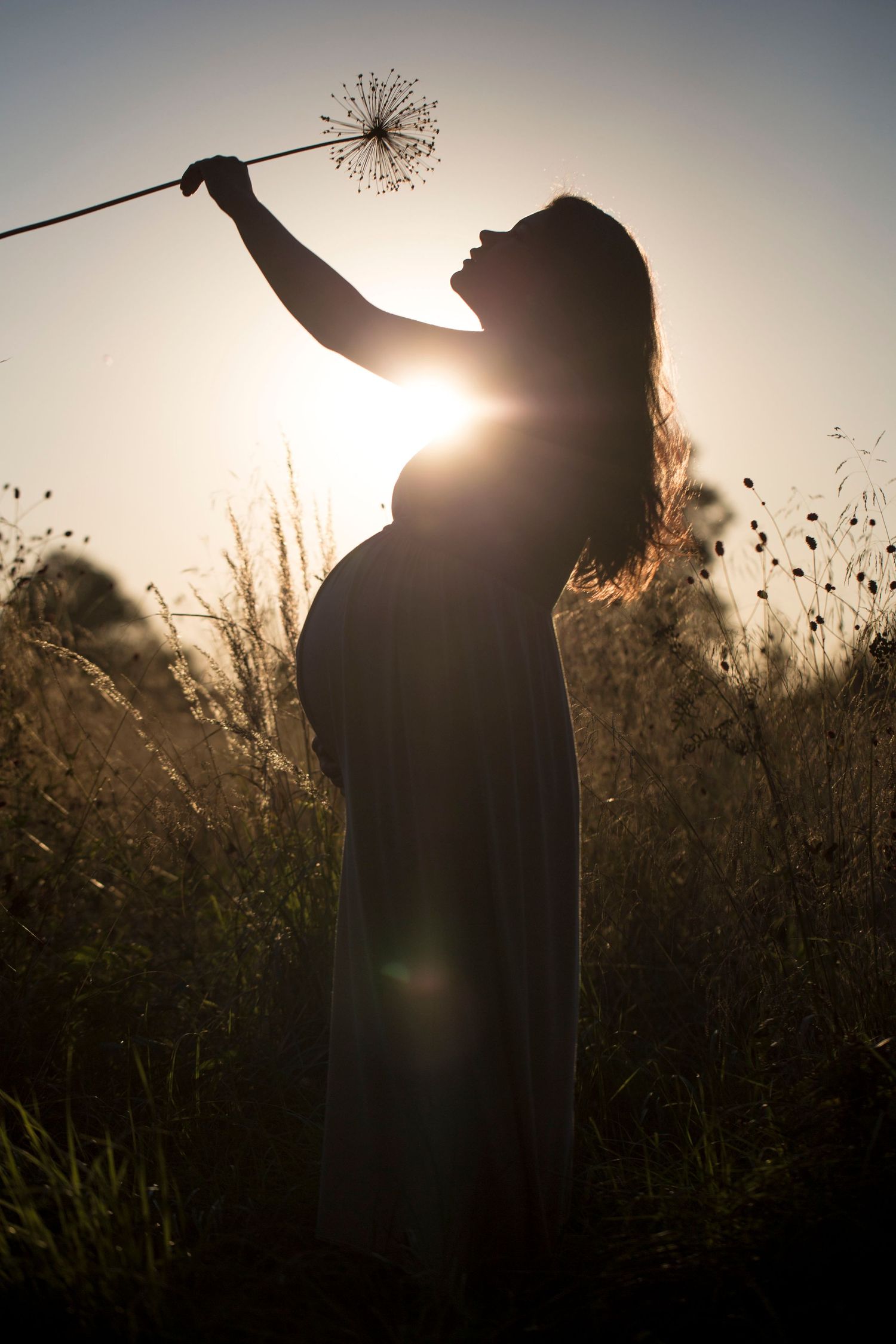 Pregnant woman in a field holding a flower. Maternity and pregnancy photography by The Mother's Eye in Beckenham and South East London.