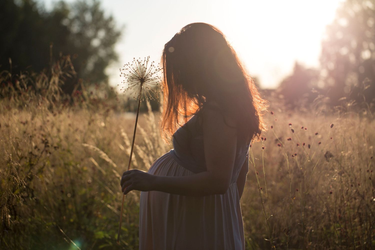 Pregnant woman in a field holding a flower. Poetic maternity and pregnancy photography by The Mother's Eye in Peckham, South East London.