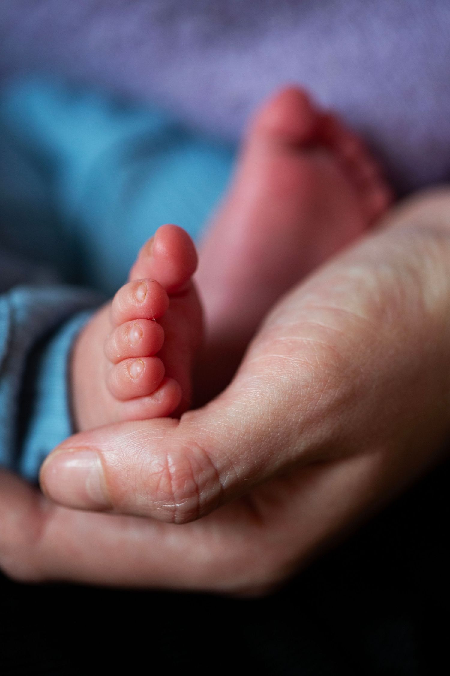 Close up of a newborn's feet. Childhood, matrescence, newborn and family photography by The Mother's Eye, Beckenham, South East London.