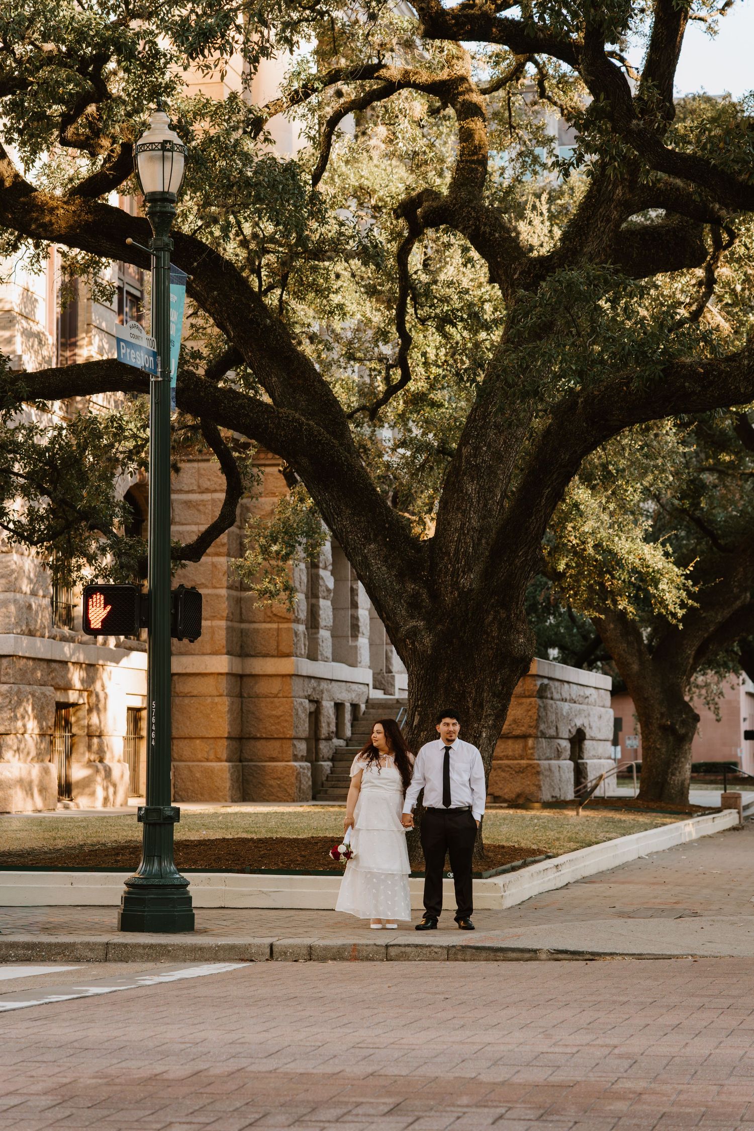 Bride and groom hold hands on urban plaza sidewalk beneath large sprawling oak trees at golden hour.