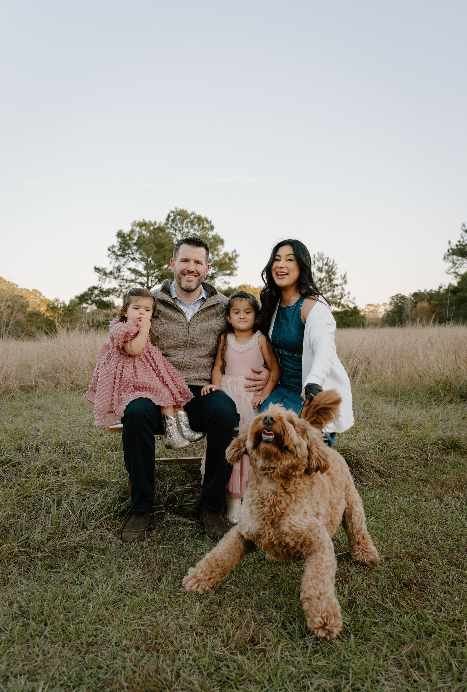 Family of four with a fluffy golden doodle dog posing in an open field during golden hour.