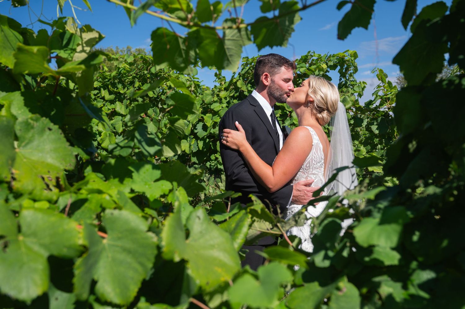 Bride and groom kissing among lush green vineyard leaves outdoors.