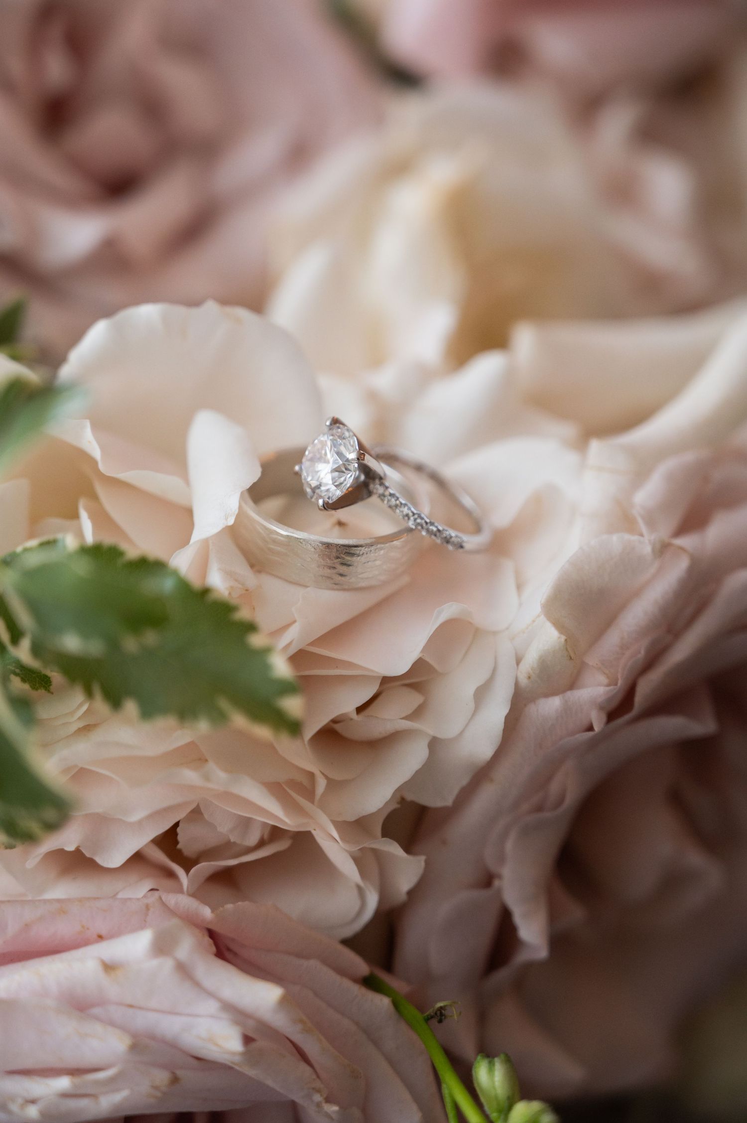 Diamond solitaire engagement ring and wedding band resting elegantly on soft blush pink rose bouquet.