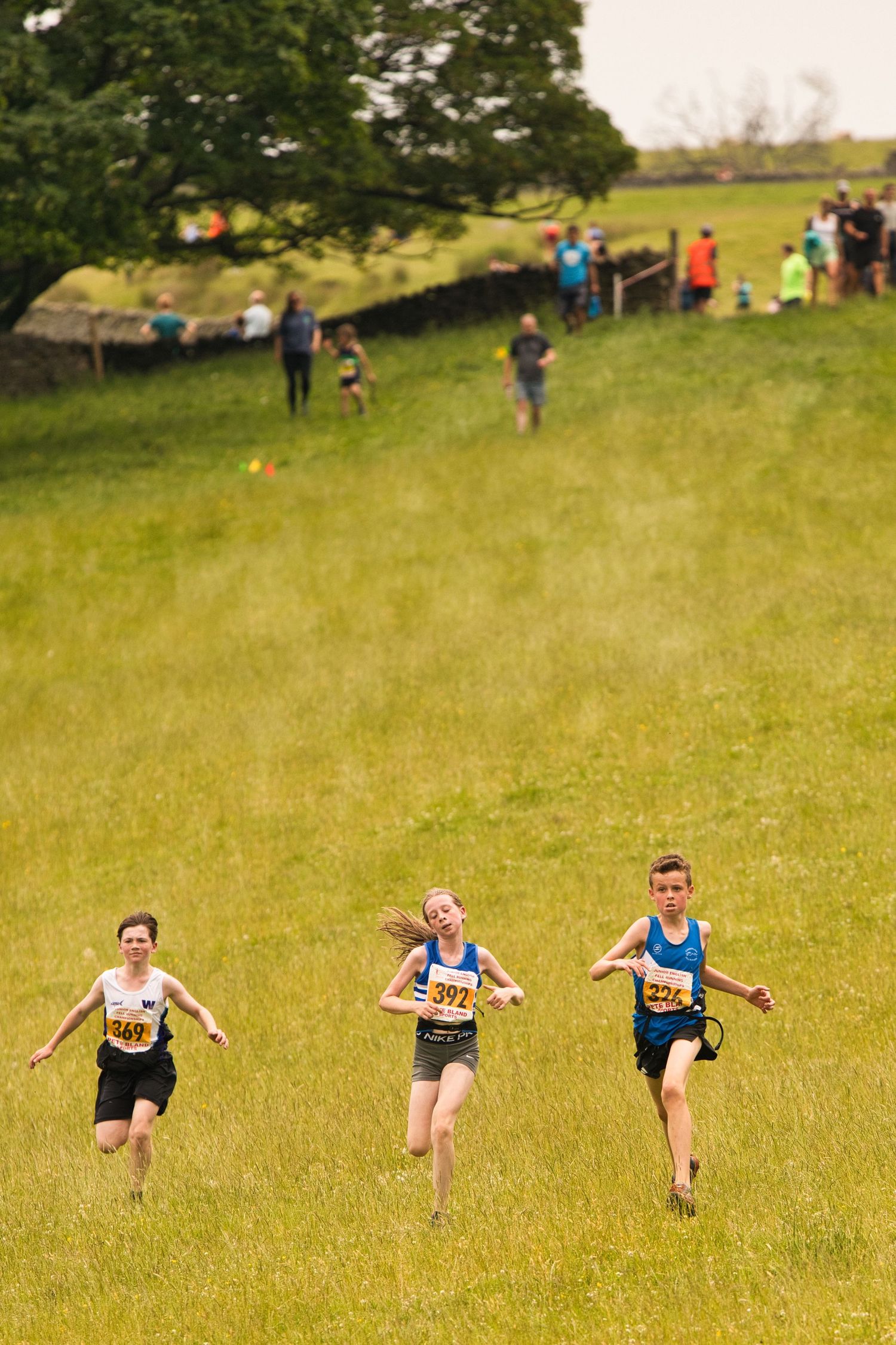 Junior fell runners descending a steep grassy hillside during a race, focused and moving fast with mountains in the background.