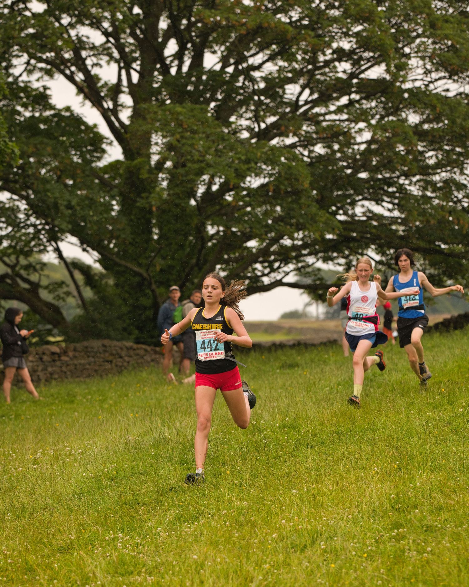Junior fell runners descending a steep grassy hillside in Bowland during a race, focused and moving fast with mountains in the background.