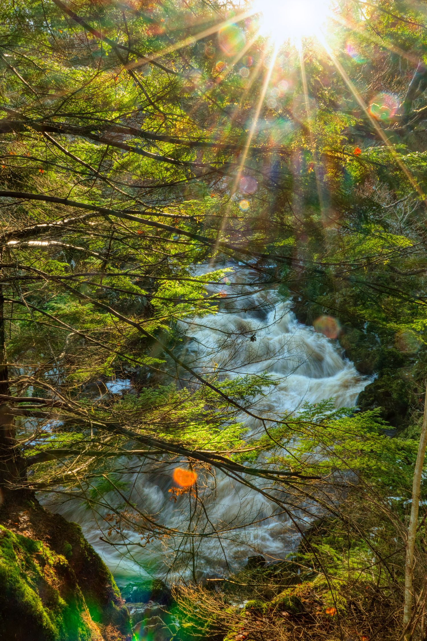 Snowdonia in North Wales showing mountainous terrain, hiking landscapes, and dramatic natural scenery in Eryri National Park