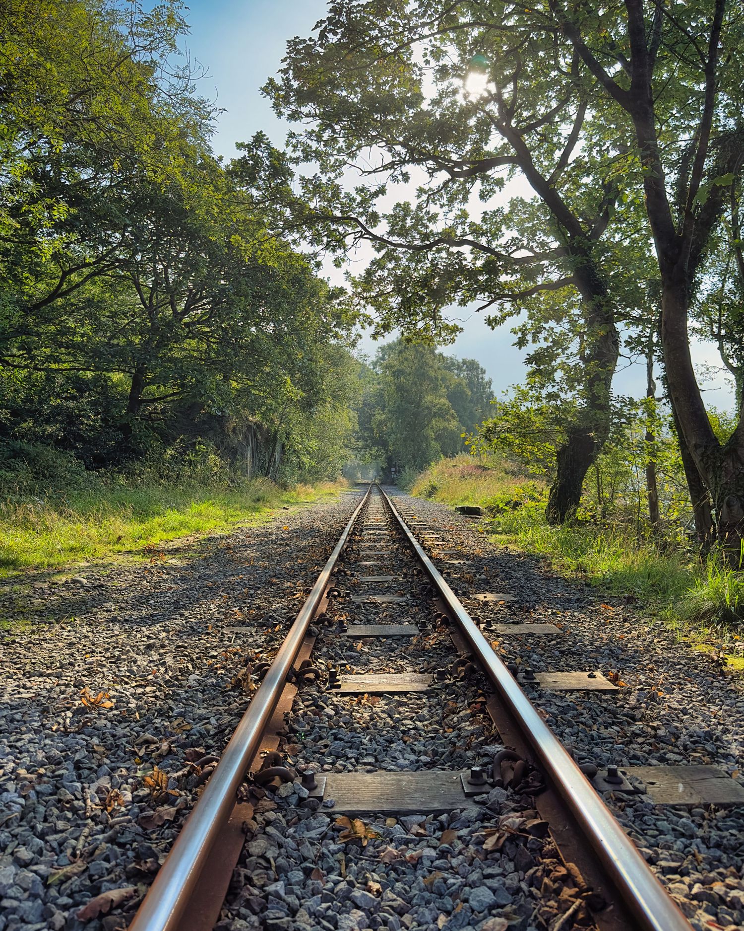A scenic small gauge railway along the shores of Llanberis. Iconic, historic, and beloved — a North Wales gem that needs no introduction.