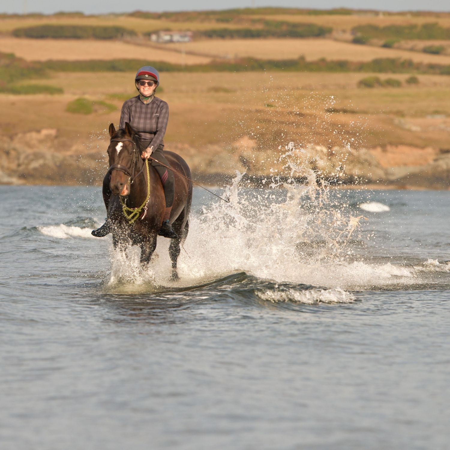 Galloping horse splashing through waves on the beach, rider smiling with joy during an equine photography shoot. Aberffraw, North Wales,