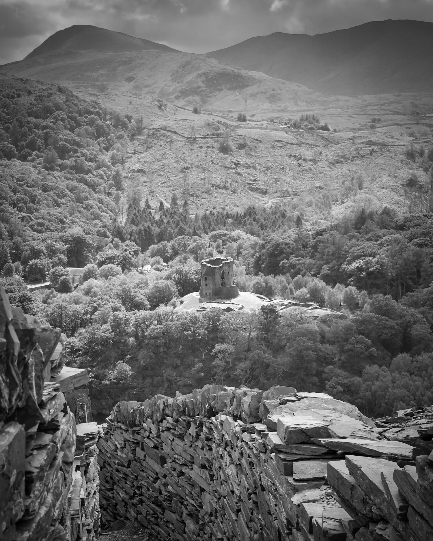 Black and White picture Dolbadarn castle