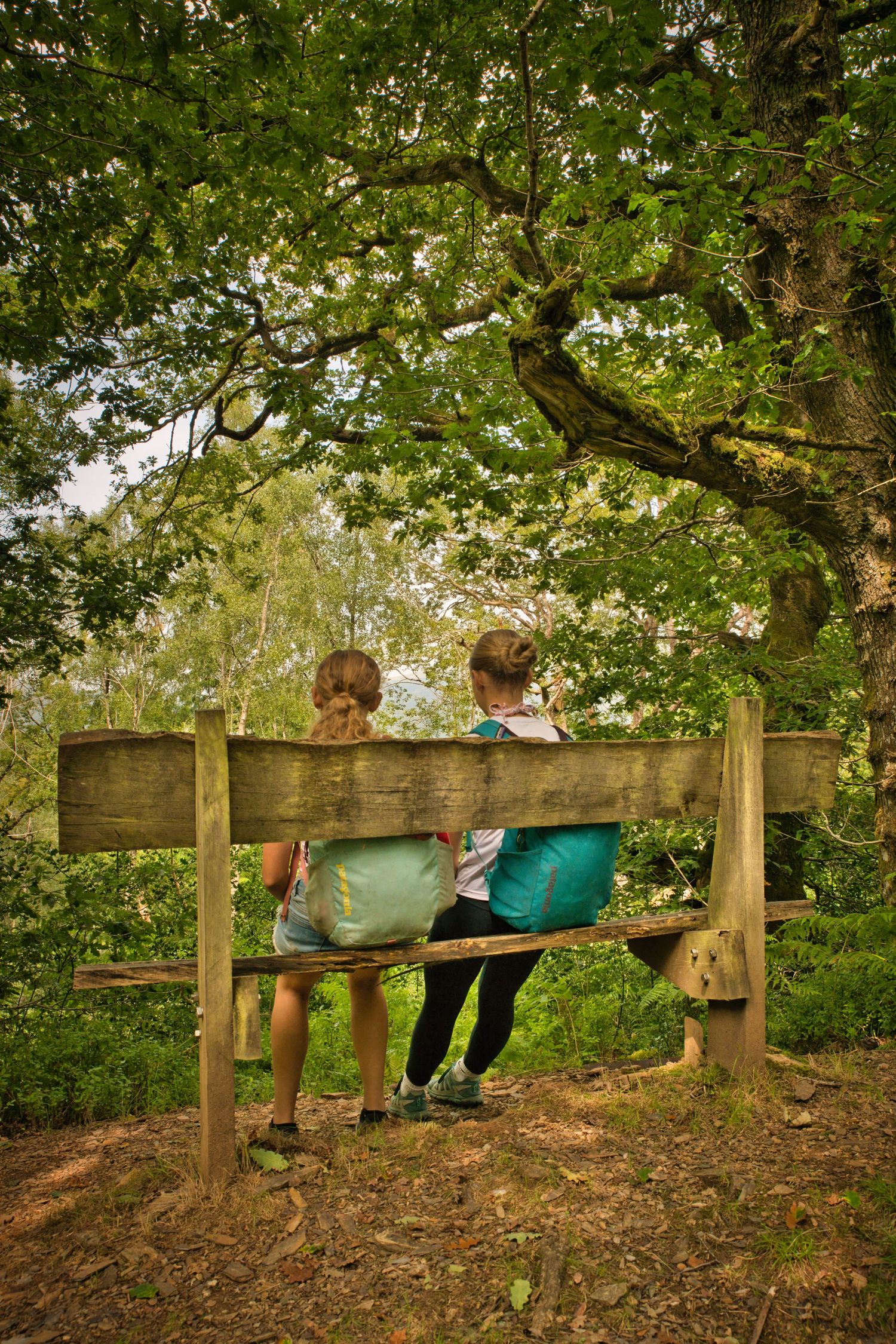 Tranquil bench featuring two small girls enjoying summer