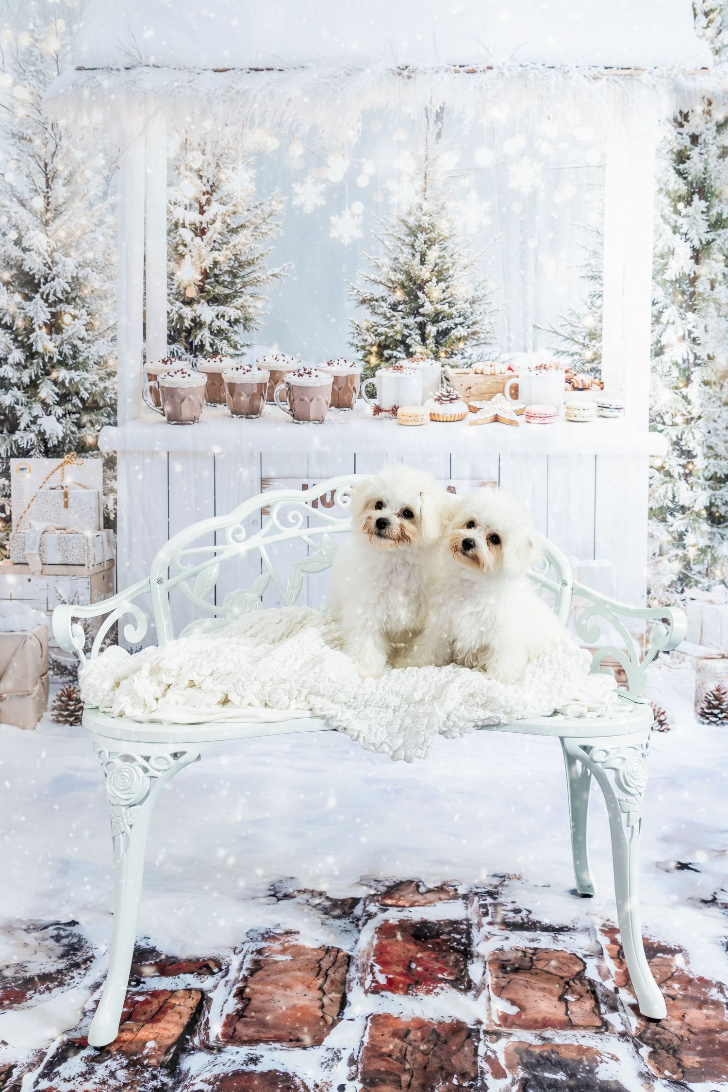 Two white Maltese dogs sitting on a mint green bench in a snowy Christmas scene with decorated trees.