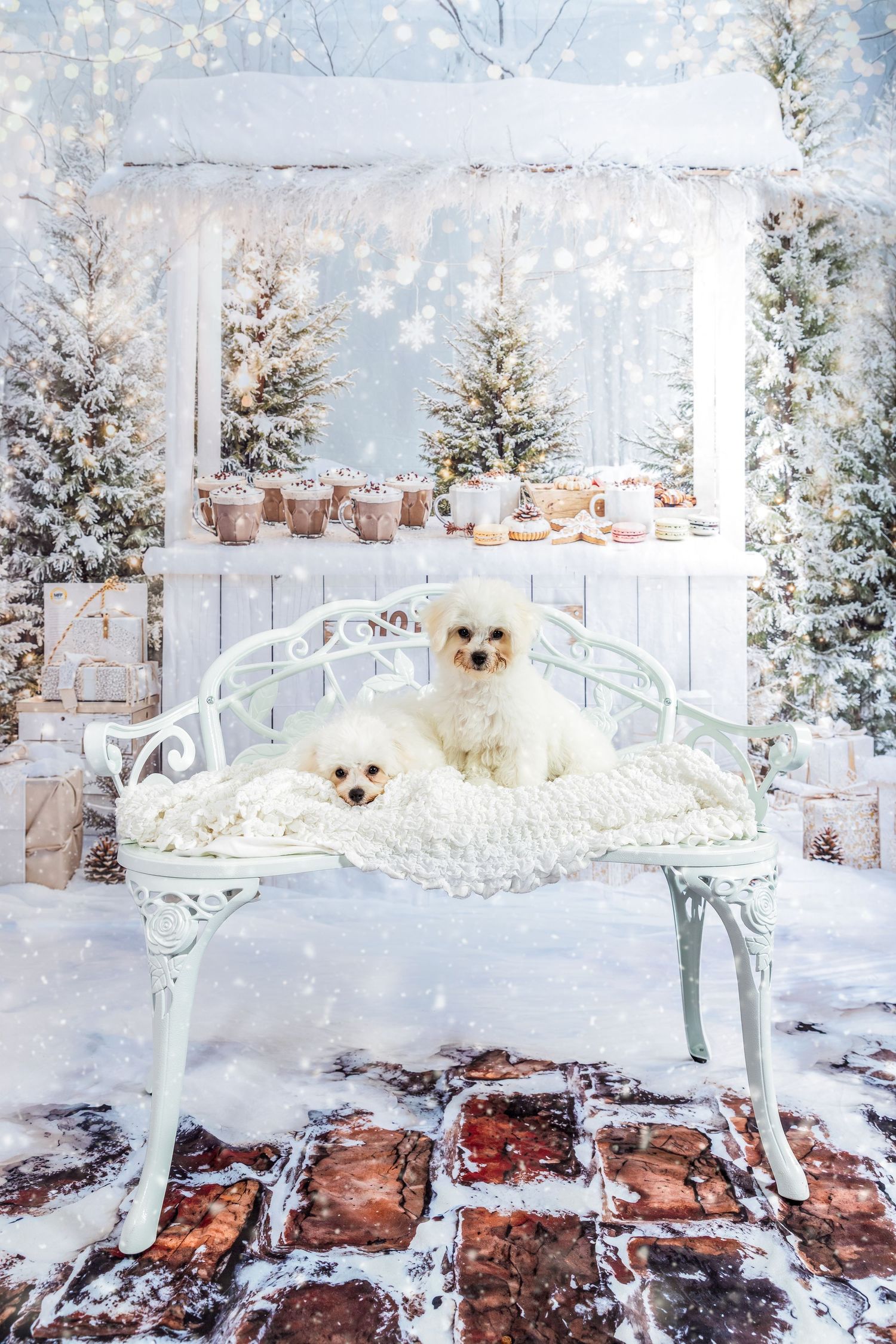 Two white fluffy dogs sit on a vintage white bench surrounded by snow-covered Christmas trees and holiday decorations.