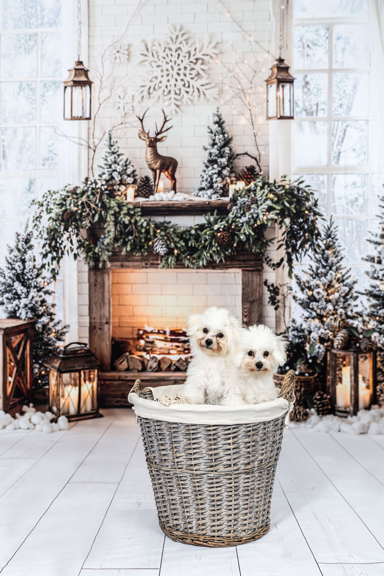 Two white Maltese dogs sitting in a wicker basket by a decorated Christmas fireplace with lanterns and snow-flocked trees.