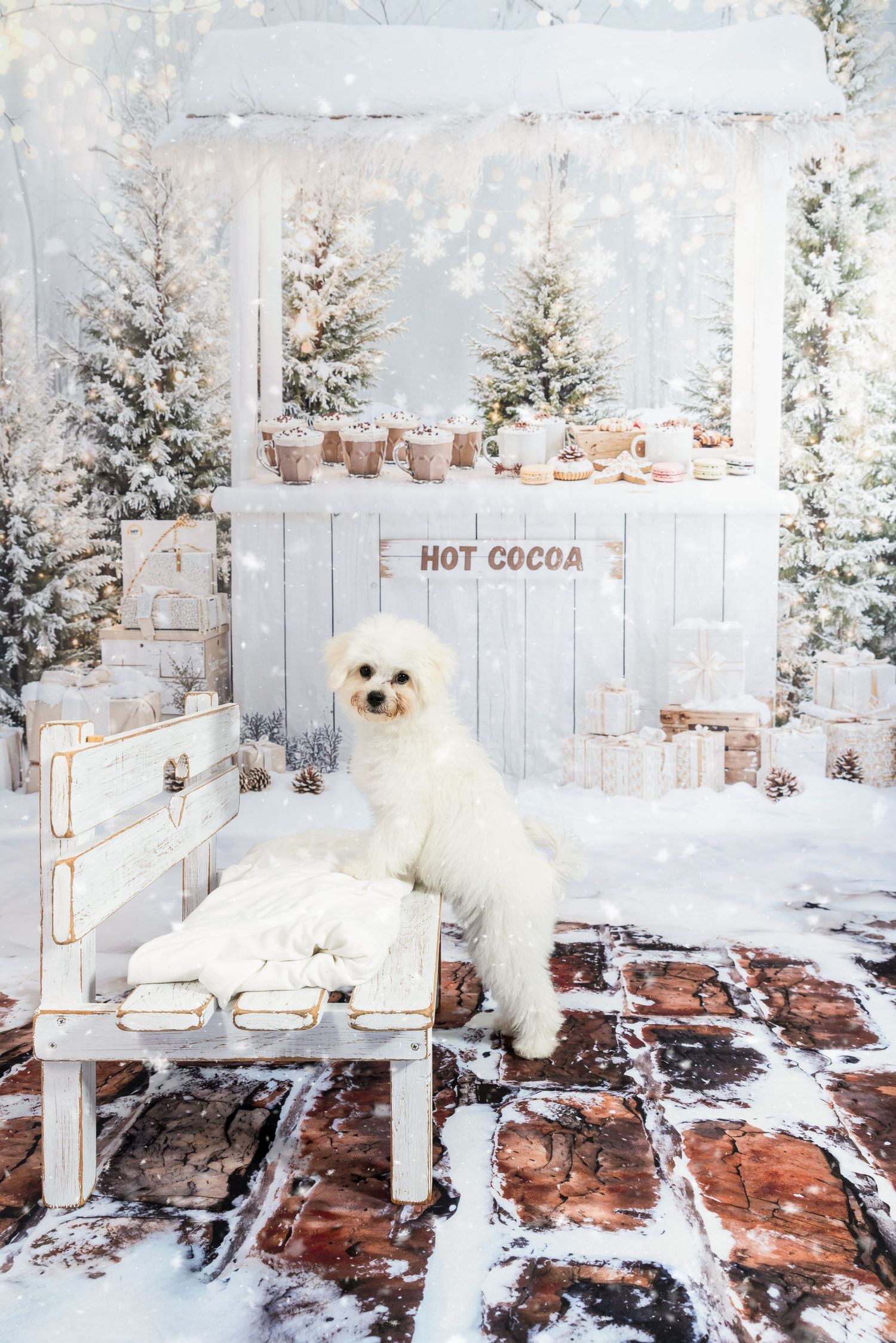 White fluffy dog poses on snowy bench near hot cocoa stand with Christmas trees and gifts in winter wonderland setting.