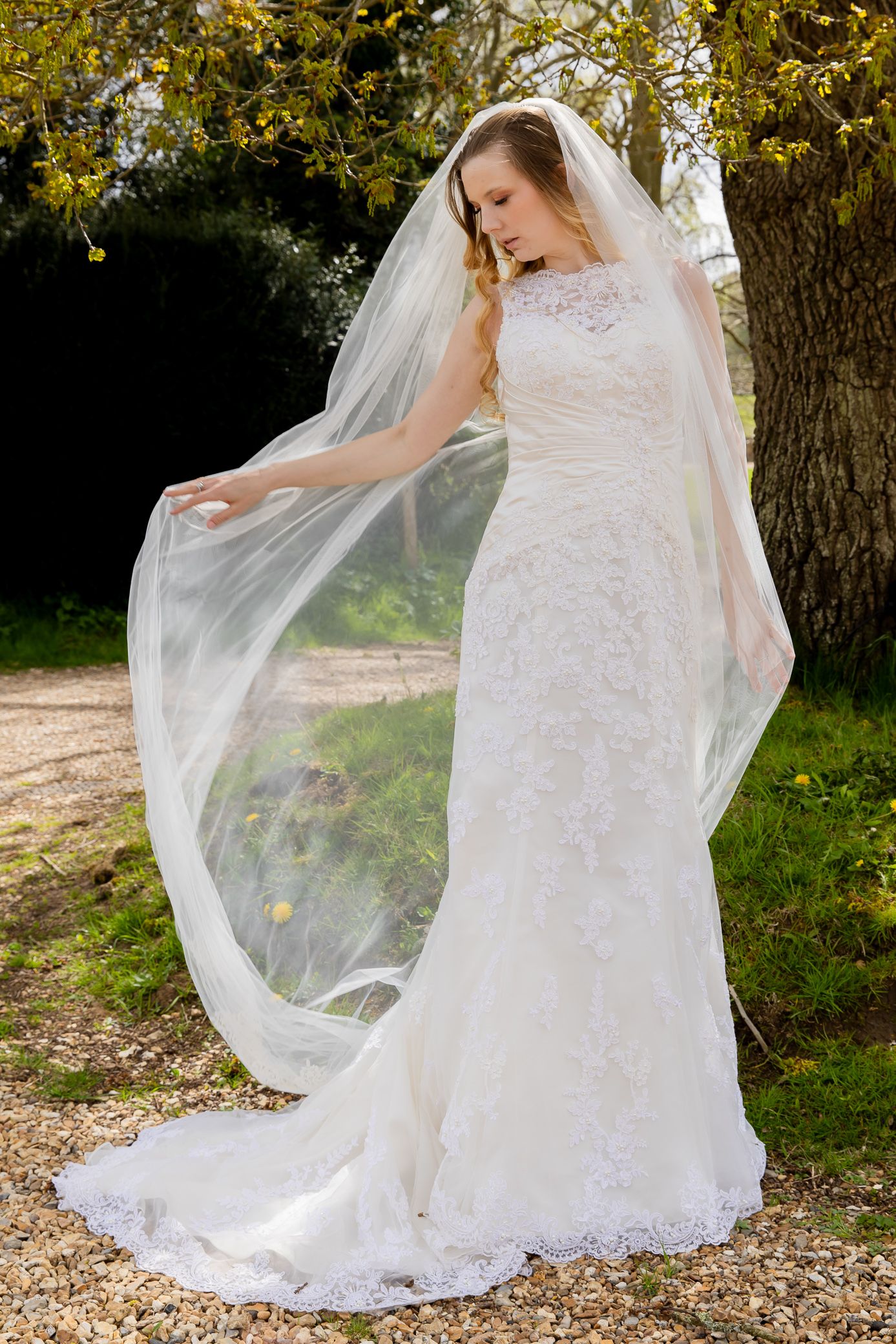 Bride in lace mermaid gown with flowing veil posing gracefully in an outdoor garden pathway.