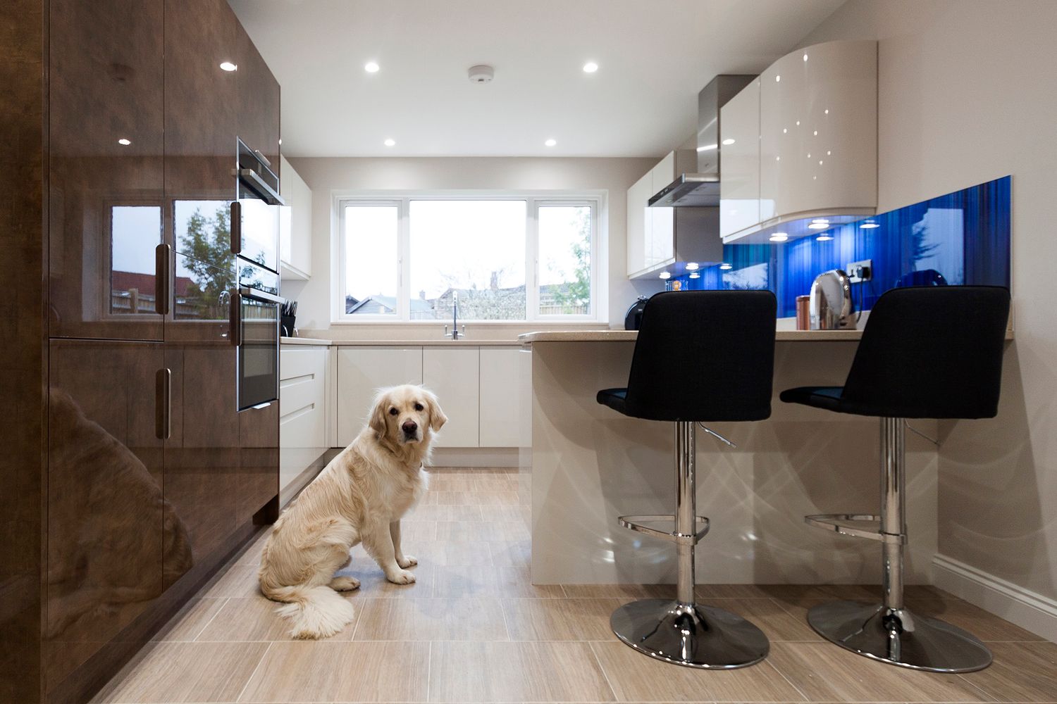 Golden retriever dog sitting in a modern kitchen with white cabinets and bar stools.