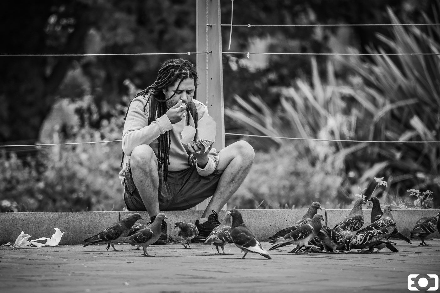 Man with dreadlocks crouching to feed pigeons in a park, candid black and white street photography.