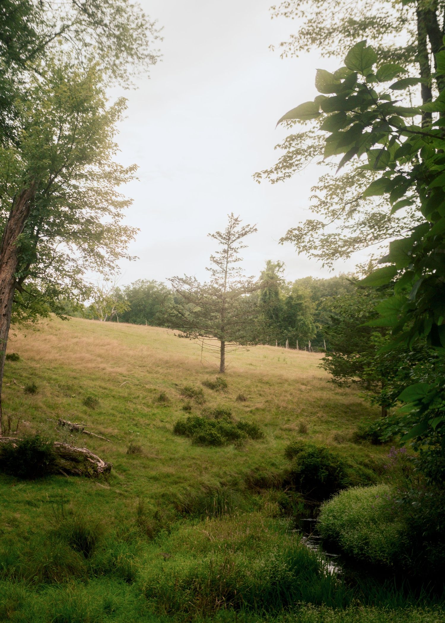 A serene pastoral landscape with a small stream, lush green meadow, and scattered trees under an overcast sky.
