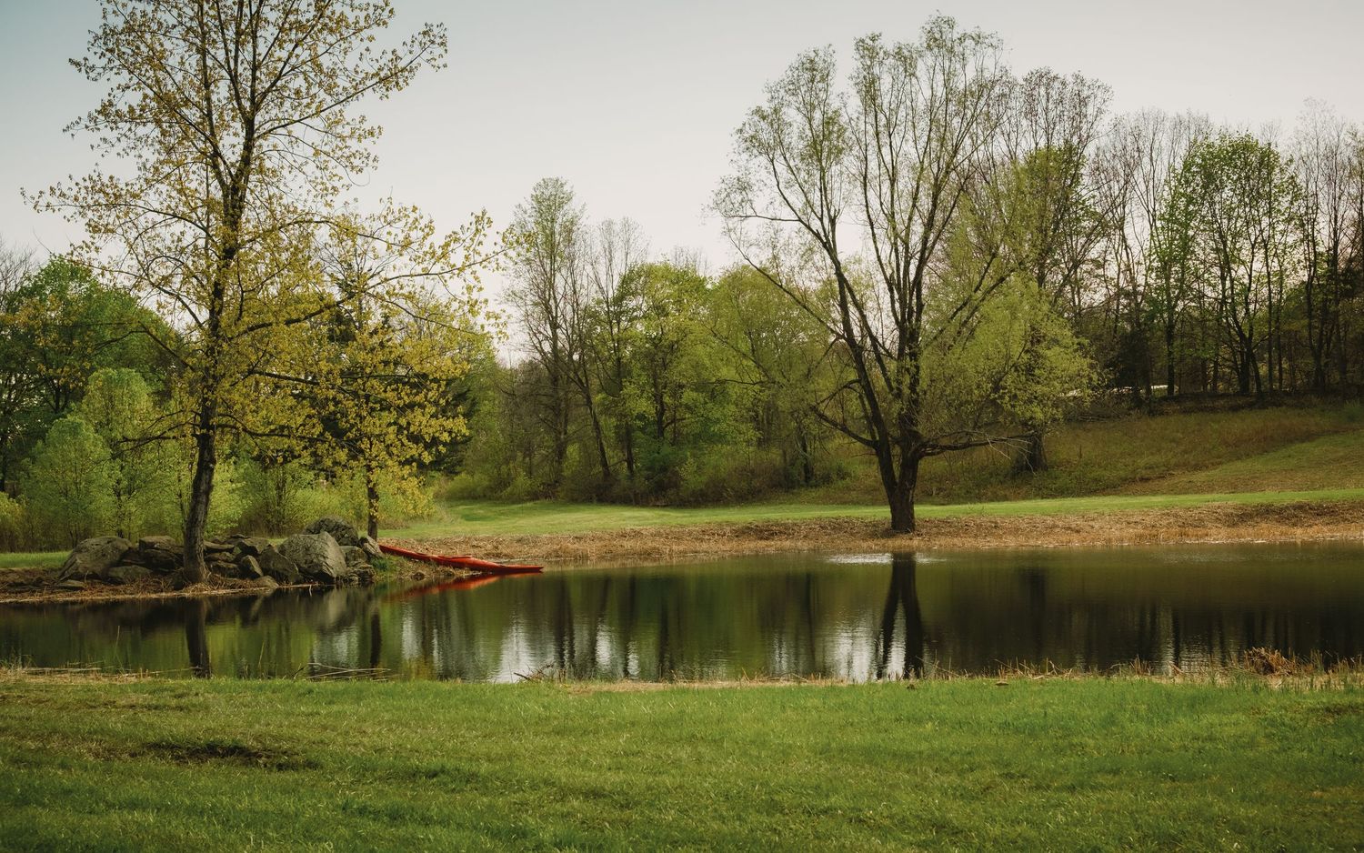 A serene pond reflecting bare trees in early spring, surrounded by lush green grass and woodland in soft natural light.