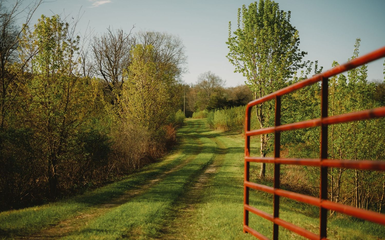 A red metal farm gate opens to a lush green grass path lined with trees under a clear blue sky.