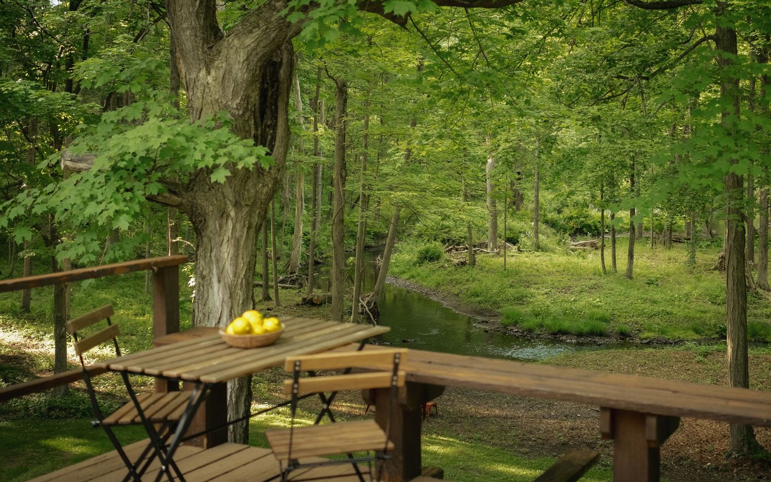 Wooden deck with bistro table and chairs overlooking a lush green forest with a small stream nearby.