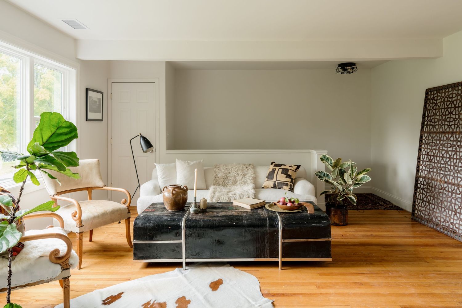 Cozy living room with white sofa, wooden chairs, fiddle leaf fig plant, and hardwood floors in a modern home.