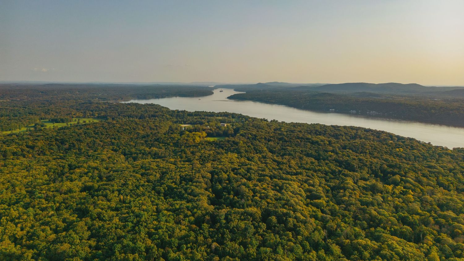 Panoramic view of a lush green forest landscape with a winding river and rolling hills in the distance.
