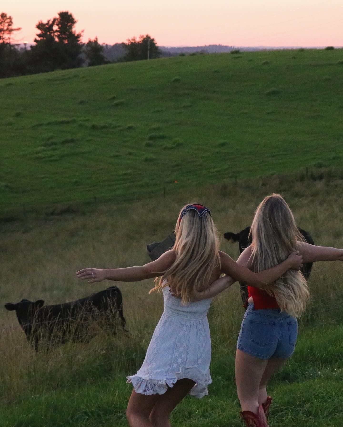 Two friends enjoying sunset in countryside with dog silhouetted in background.
