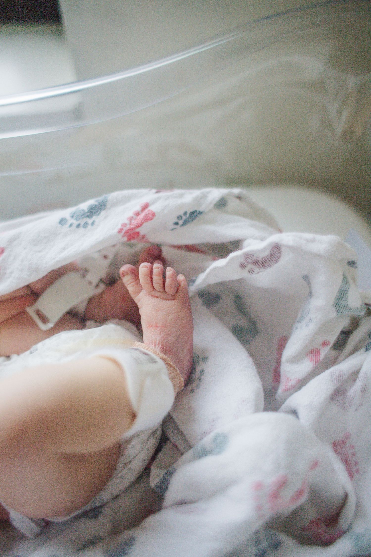 Small baby feet peek out from under a white blanket with delicate pink and gray floral pattern.