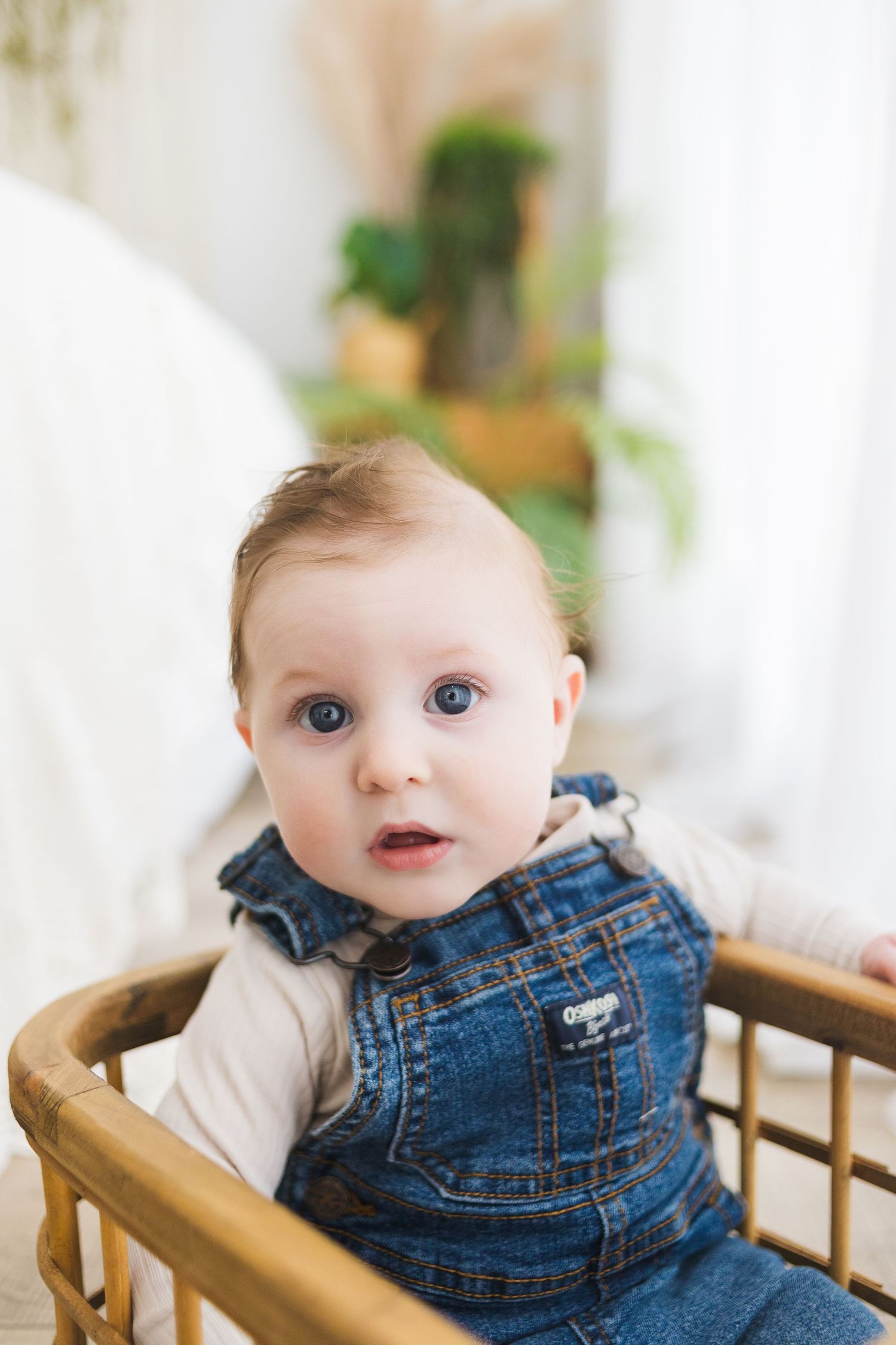 Baby wearing denim overalls sitting in wooden chair during portrait session.