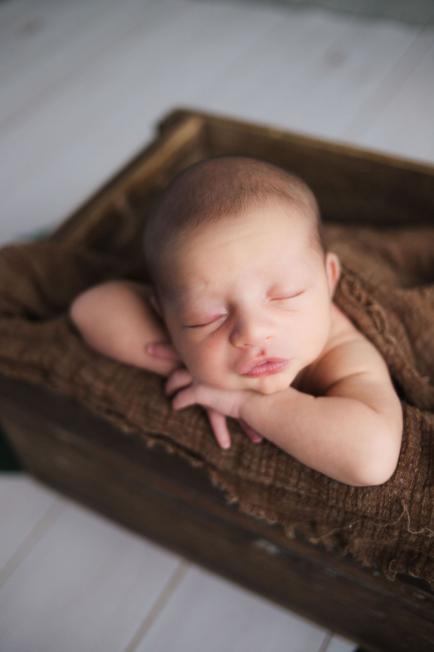 Newborn baby resting in studio prop, photographed by Fairchild Photo Co., Springfield newborn photography, 417 area.