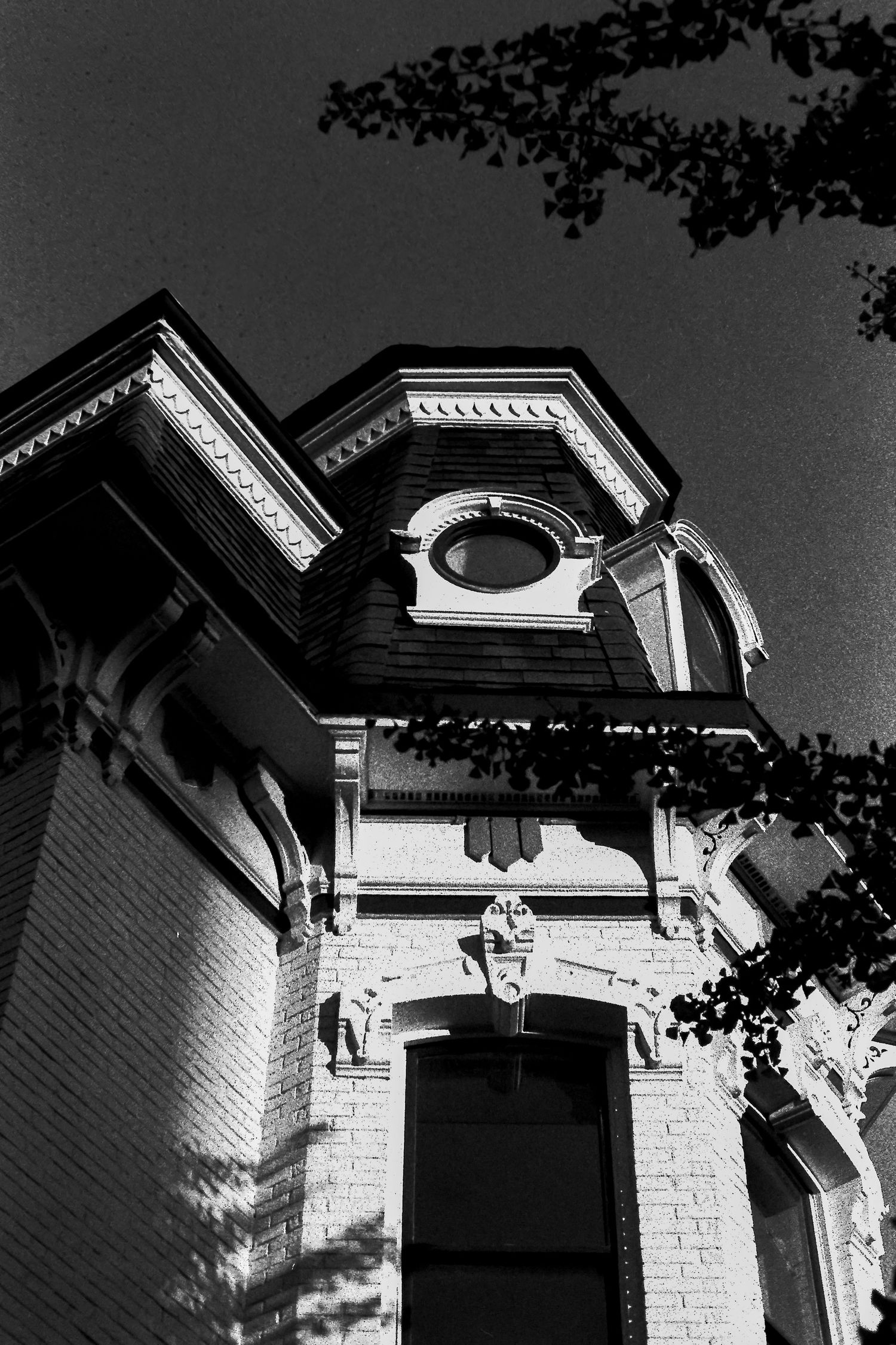 35mm Black and White Film- Darkroom Photography