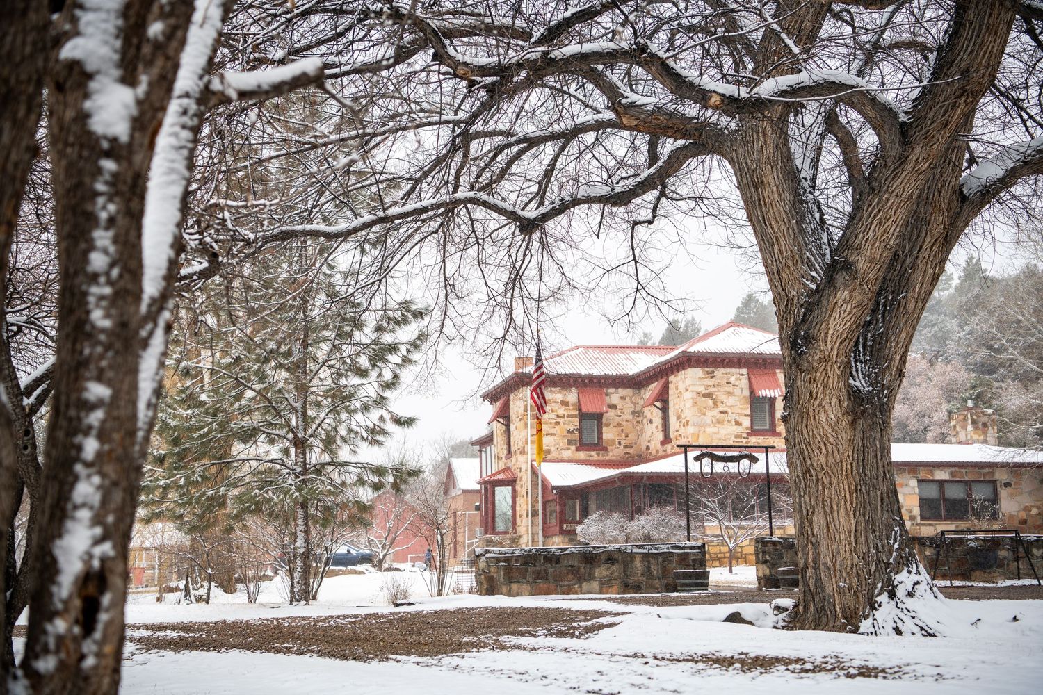 A snowy winter scene of bare trees and buildings along a residential street on a foggy day.