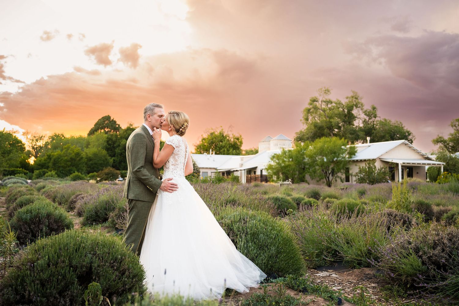 Bride and groom share a romantic kiss in a lavender field at sunset with a rustic venue in the background.