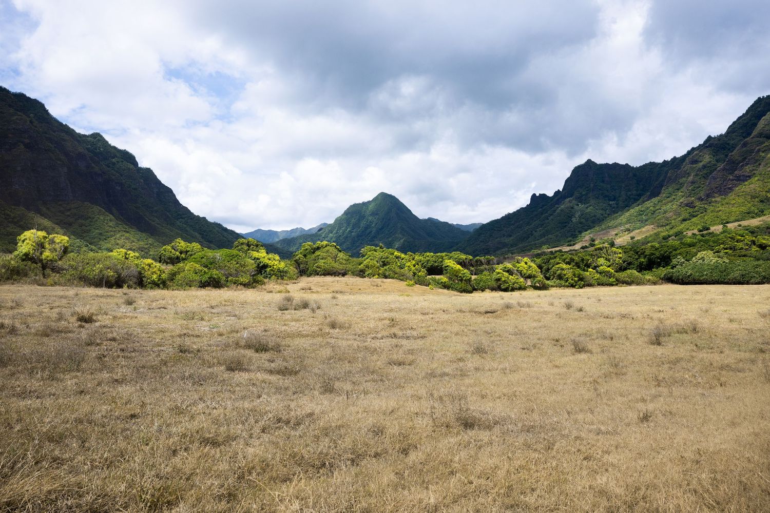 Jurassic Valley (Kualoa Ranch)