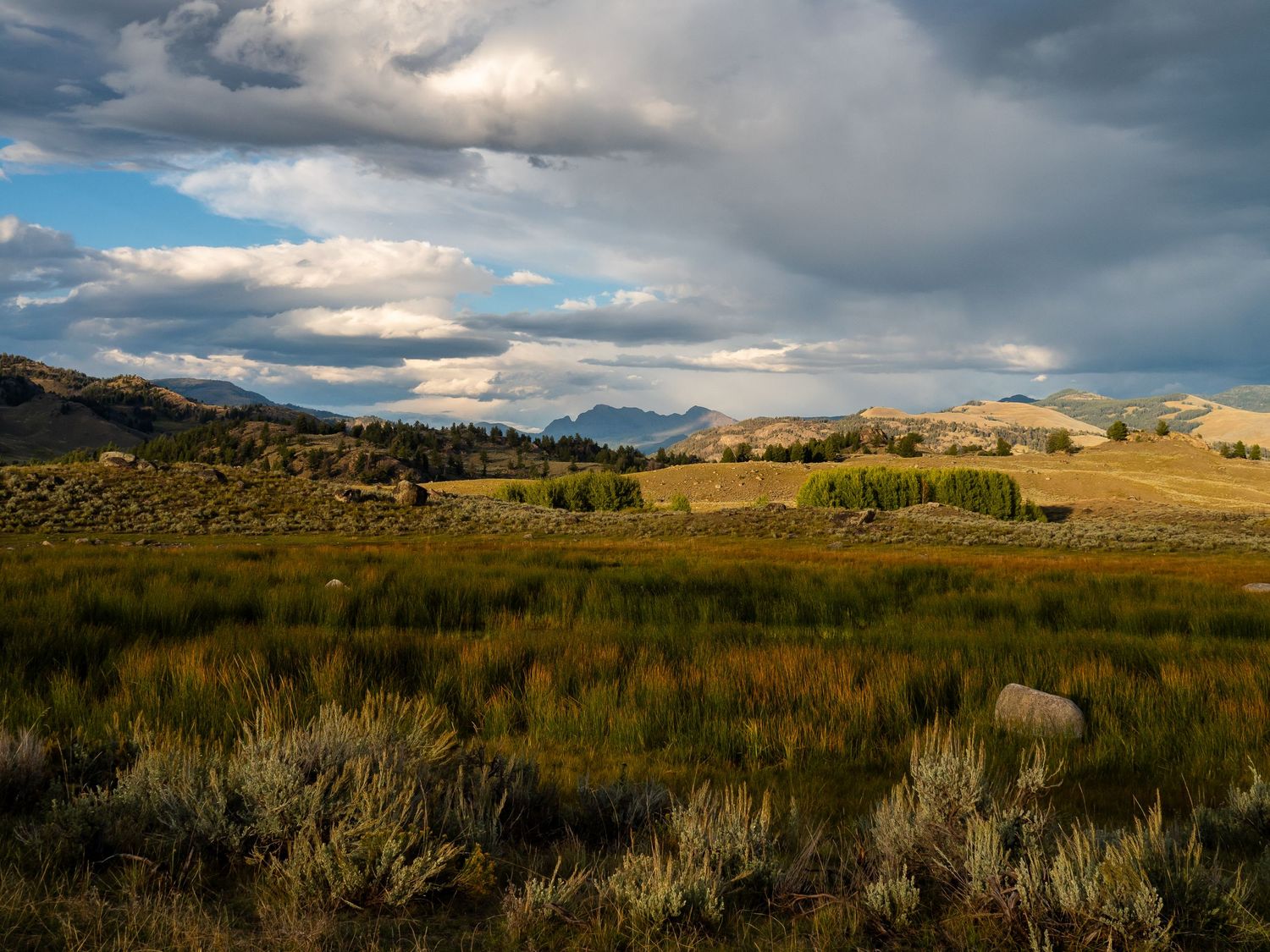 Yellowstone National Park