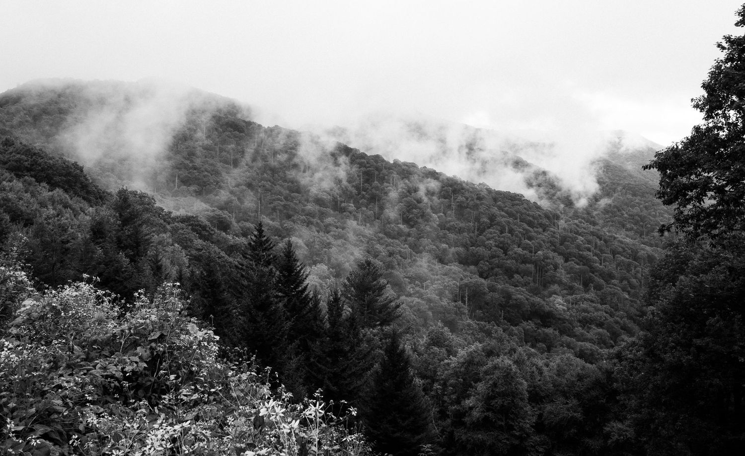 Great Smoky Mountains