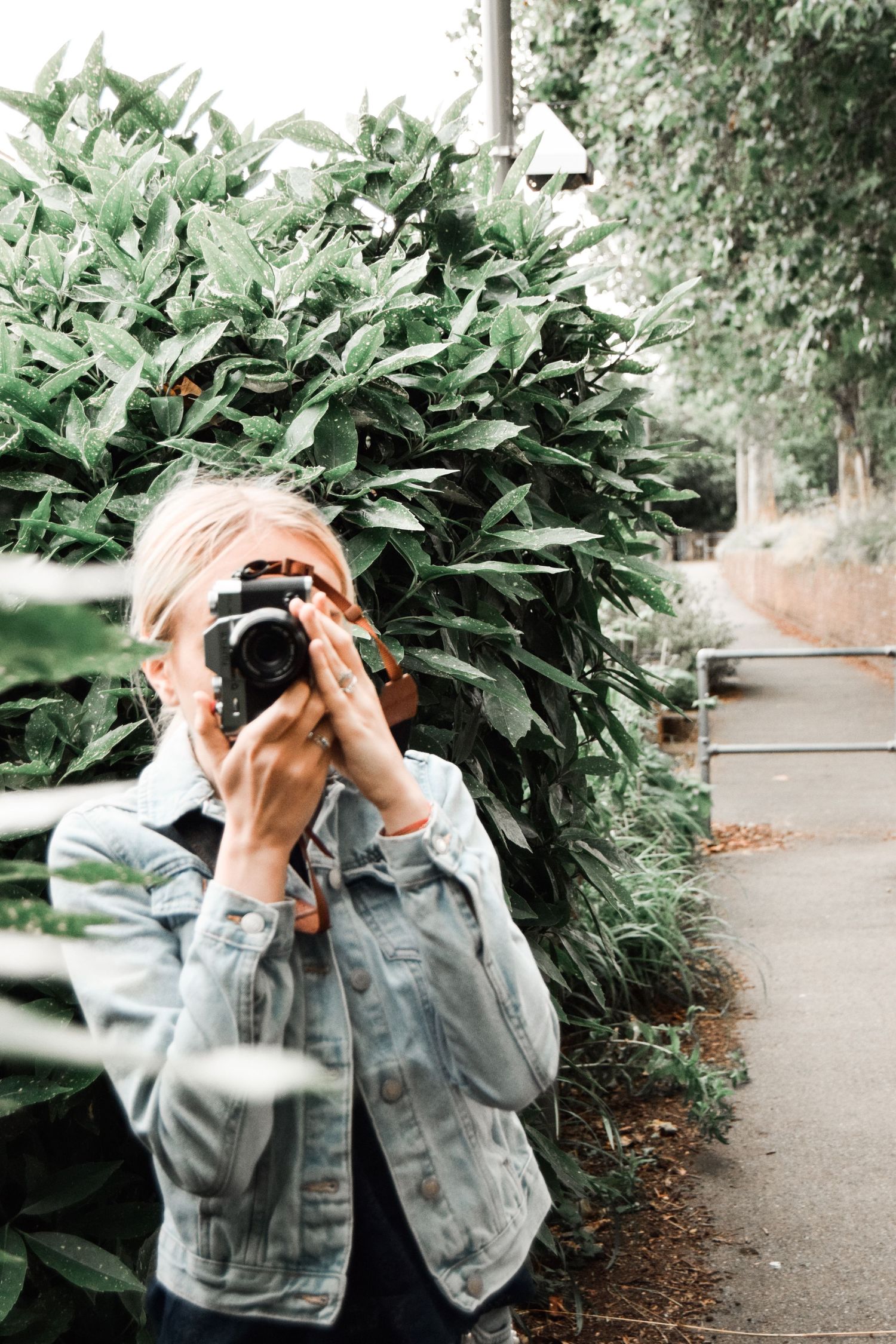 Playful sequence of someone hiding behind large green leaves in an outdoor setting.