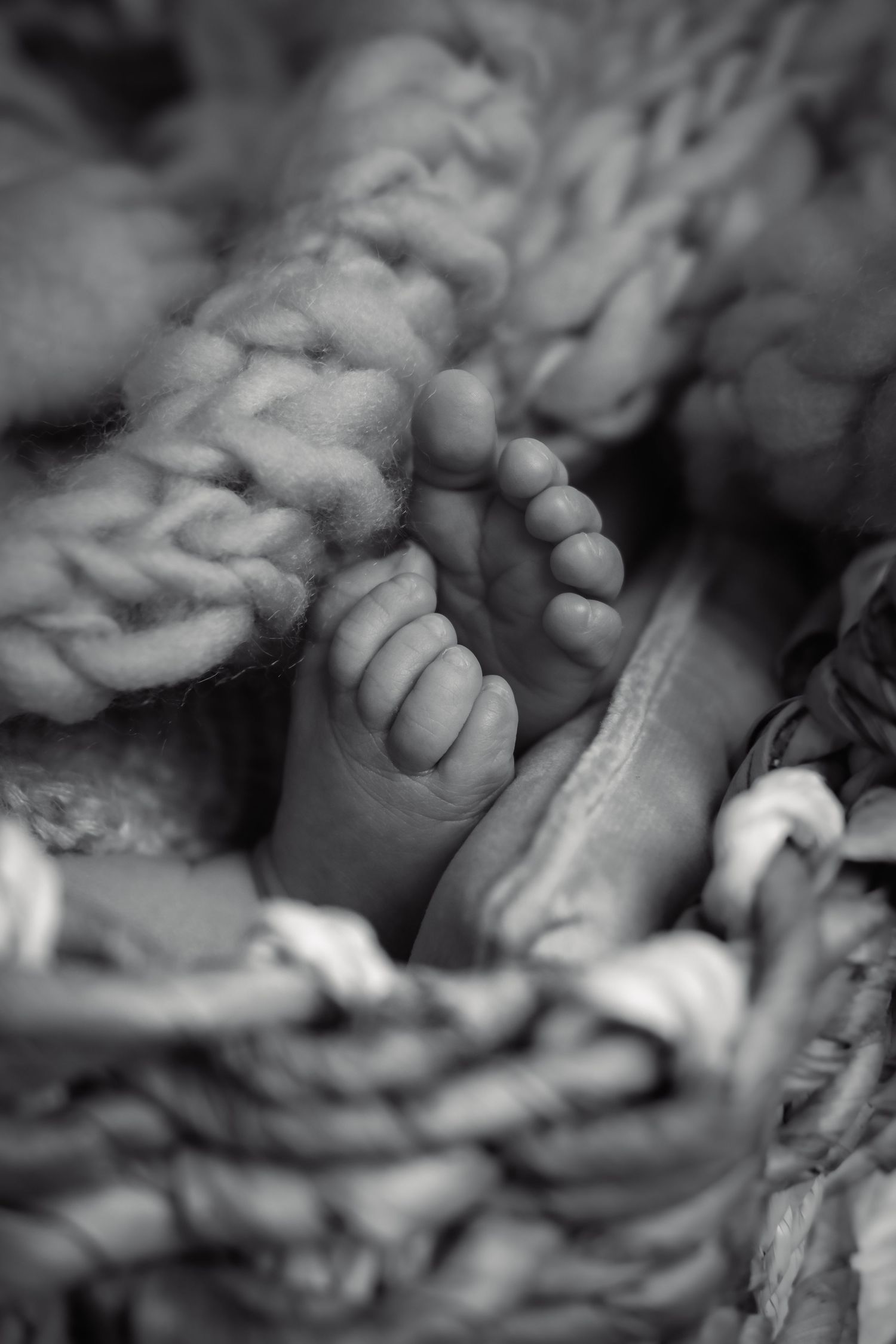 Close-up black and white detail of tiny newborn feet and hands.